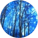 Angela profile picture